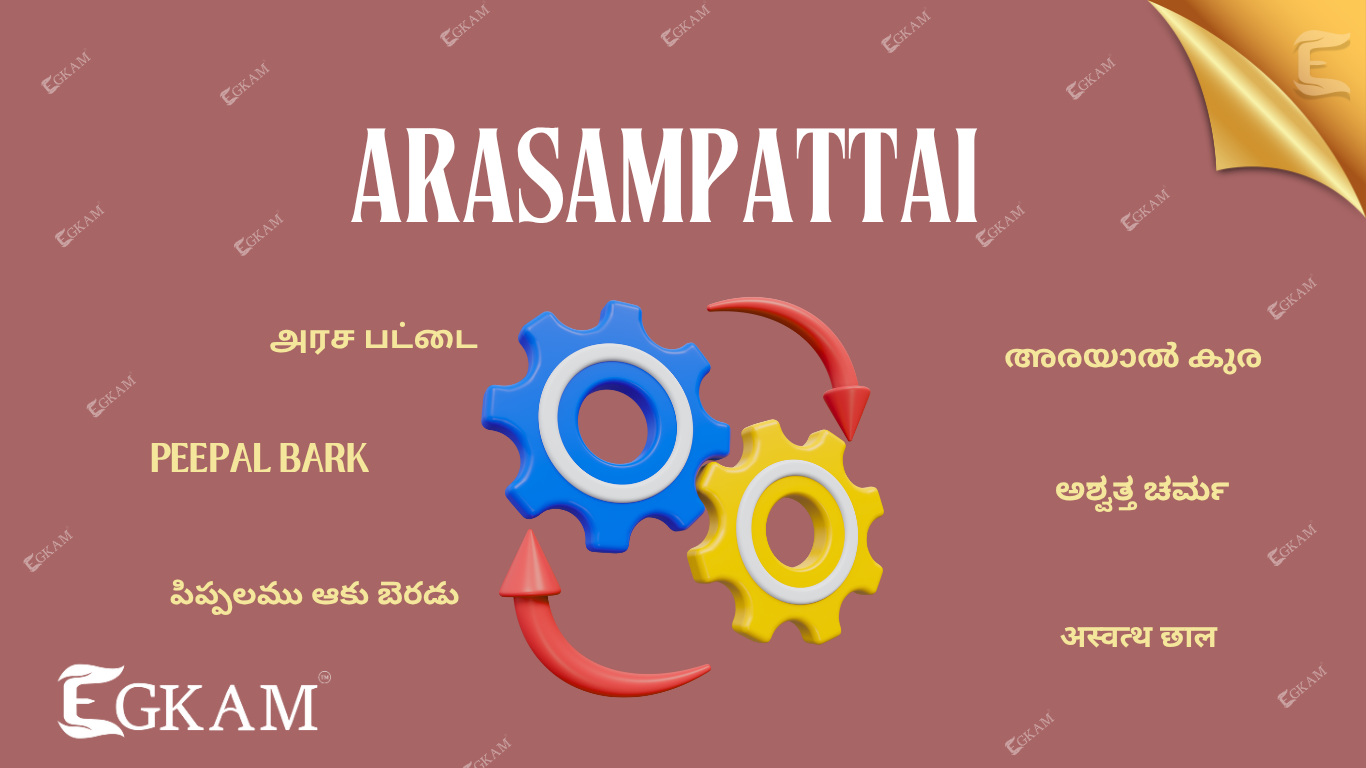 ARASAMPATTAI