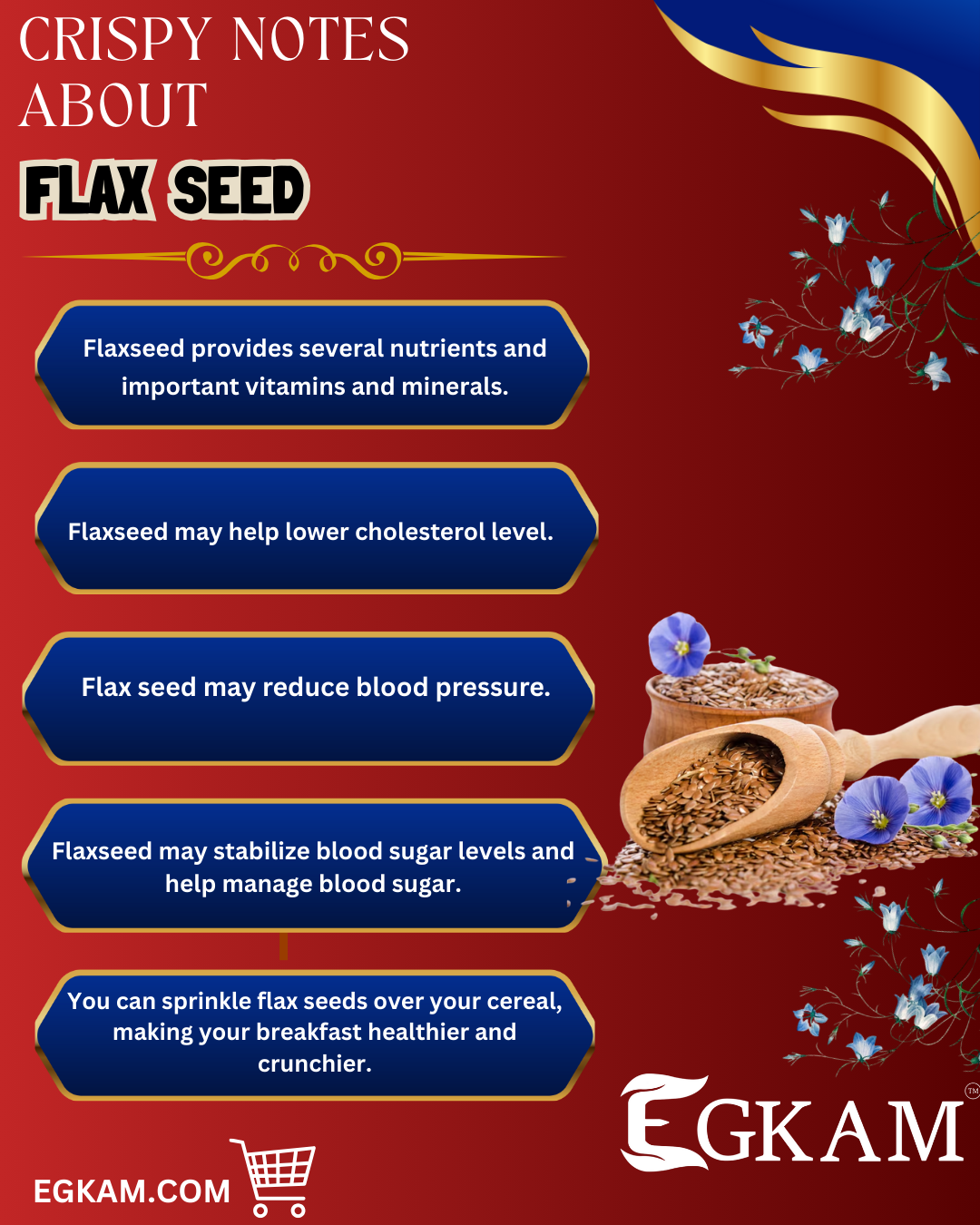 AAZHI VIDHAI (or) FLAX SEED - Image 3