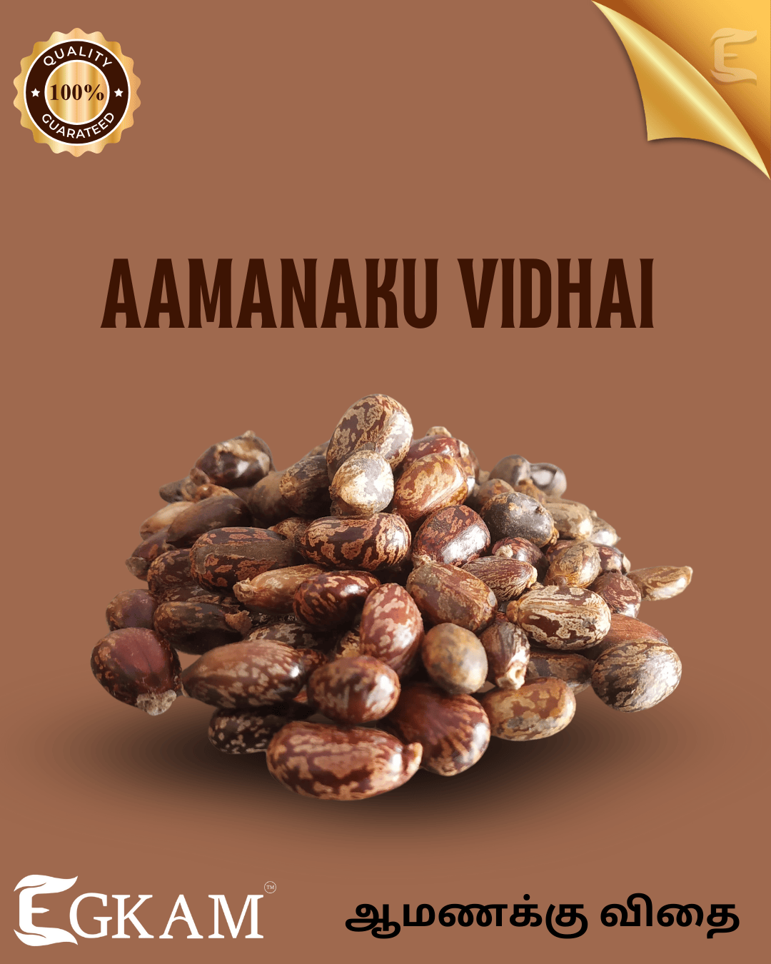 AAMANAKKU VIDHAI - Image 2