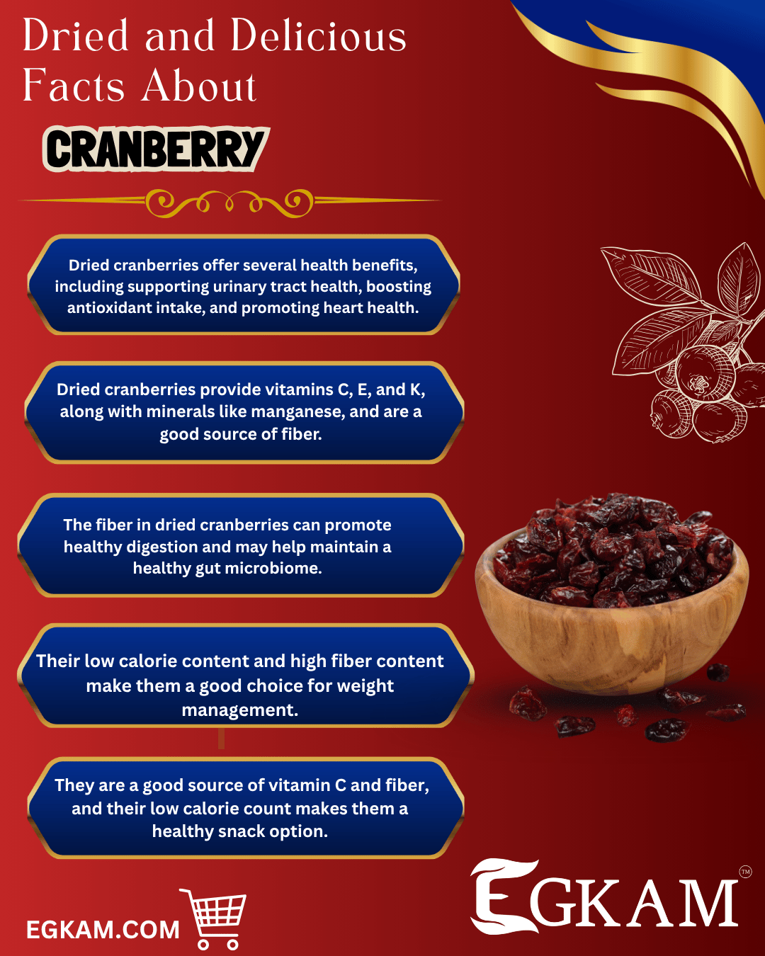 DRY CRANBERRY - Image 3